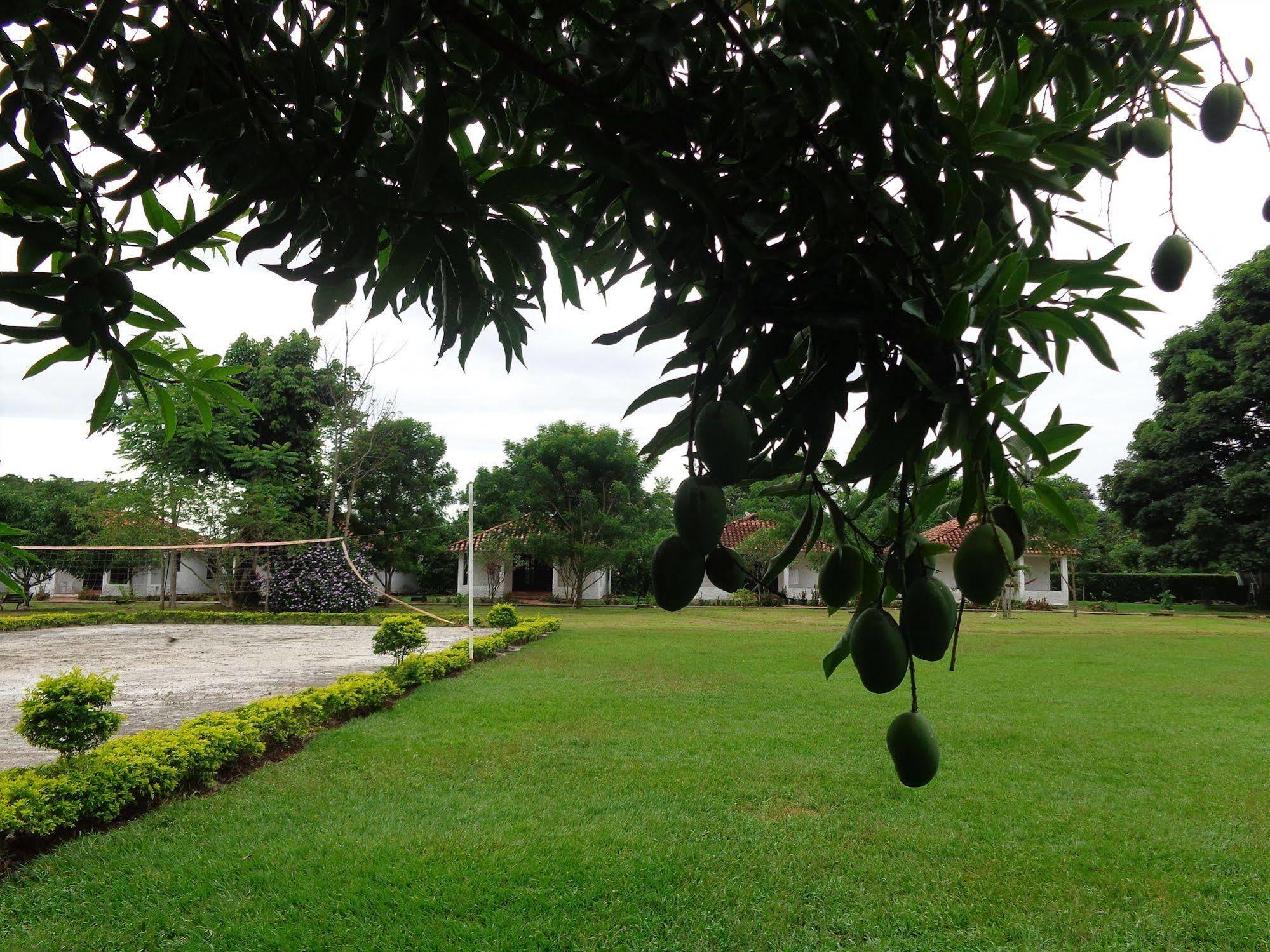 Hotel Campestre Arboretto Villavicencio Zewnętrze zdjęcie