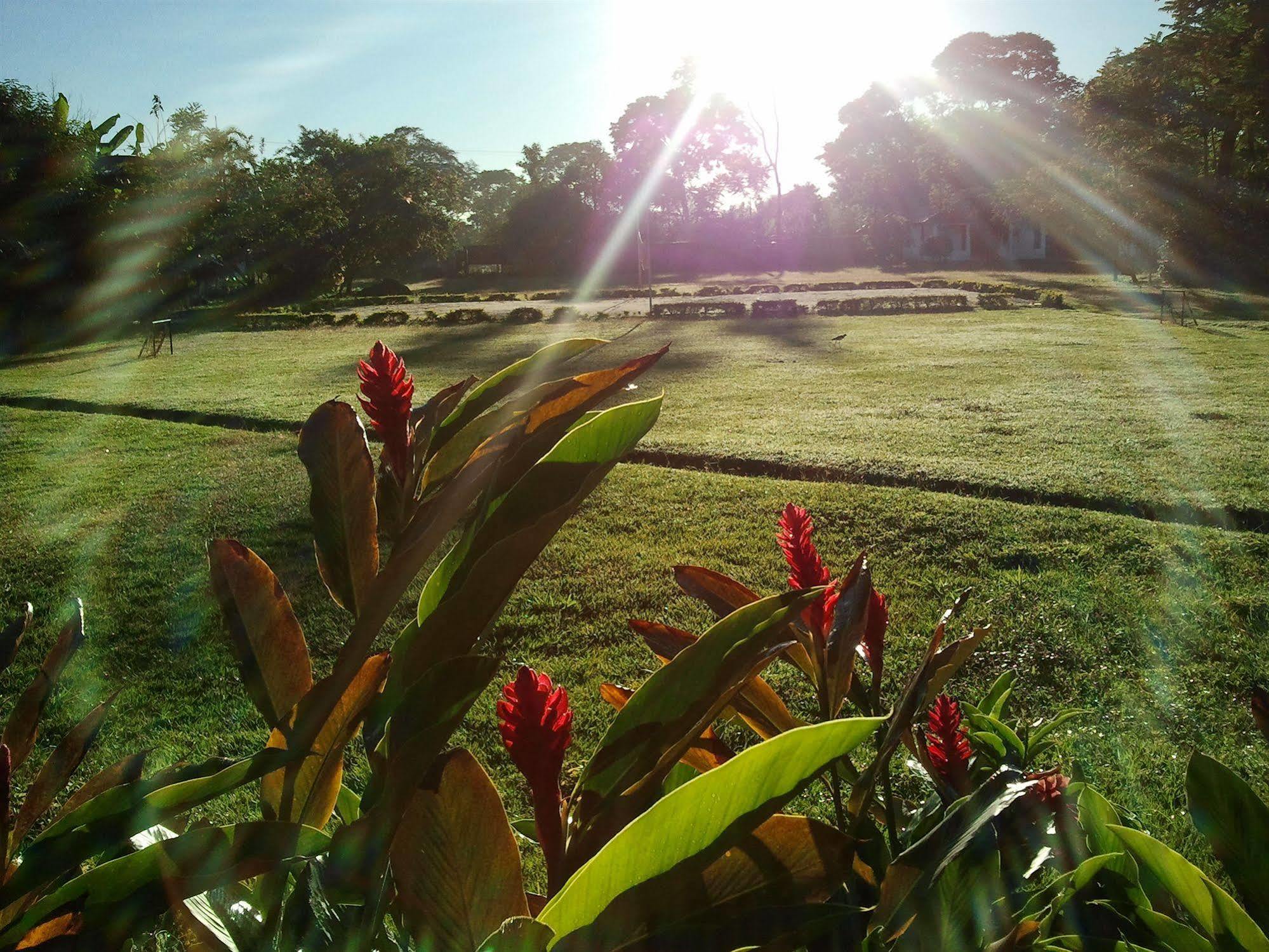 Hotel Campestre Arboretto Villavicencio Zewnętrze zdjęcie